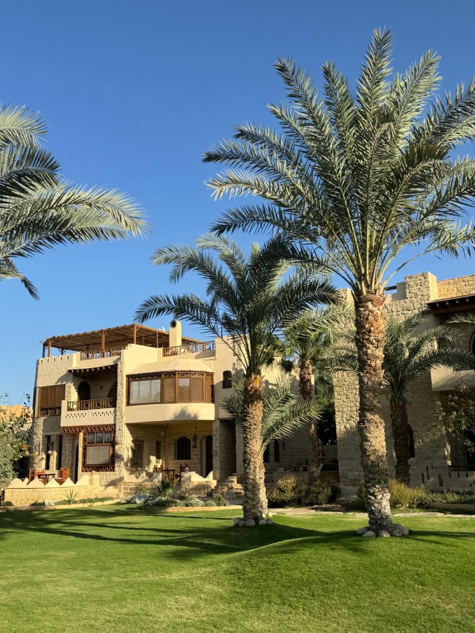 palm shadow resort Hotel in Egypt