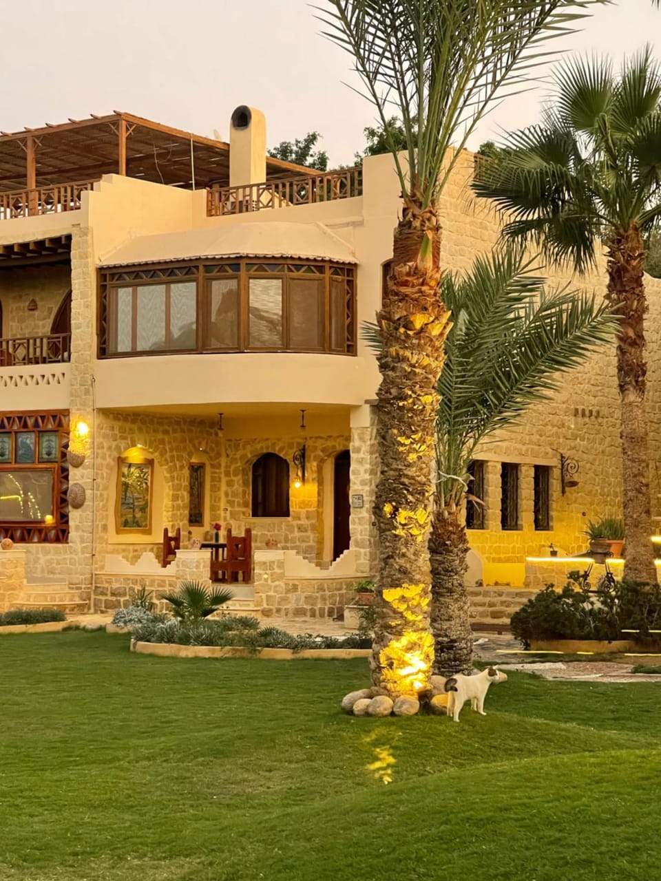 palm shadow resort Hotel in Egypt