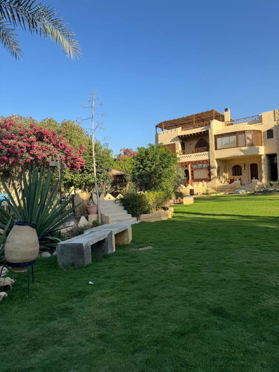 palm shadow resort Hotel in Egypt