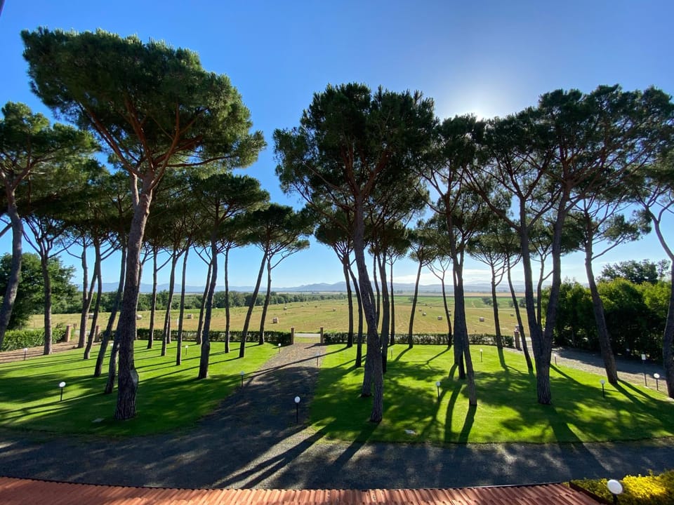 Garden, Garden view