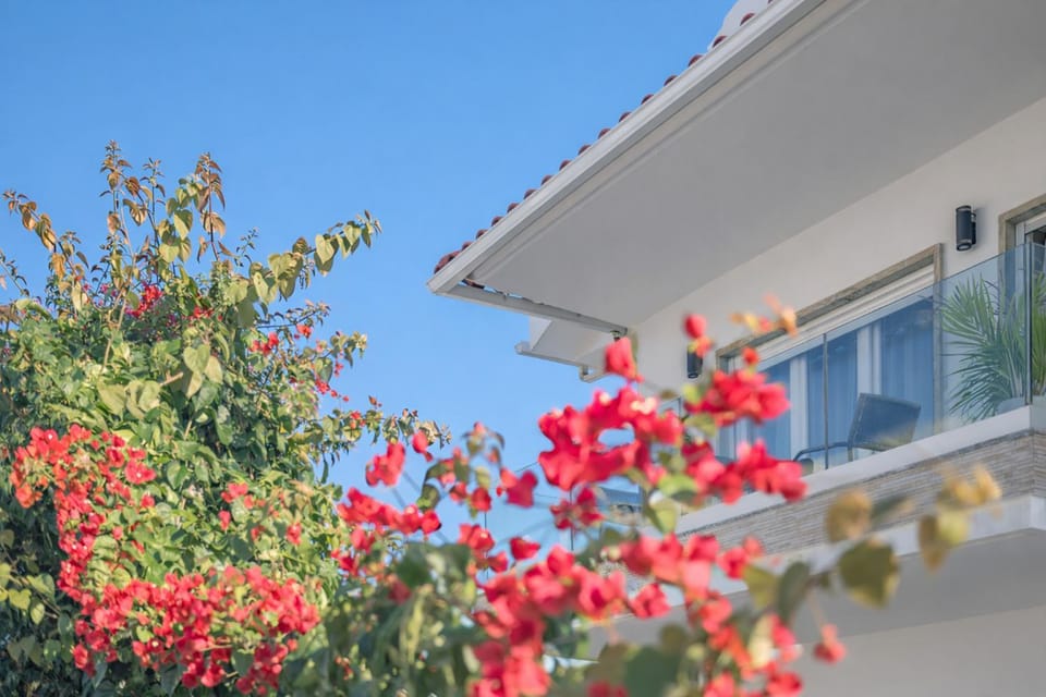 Property building, Garden view