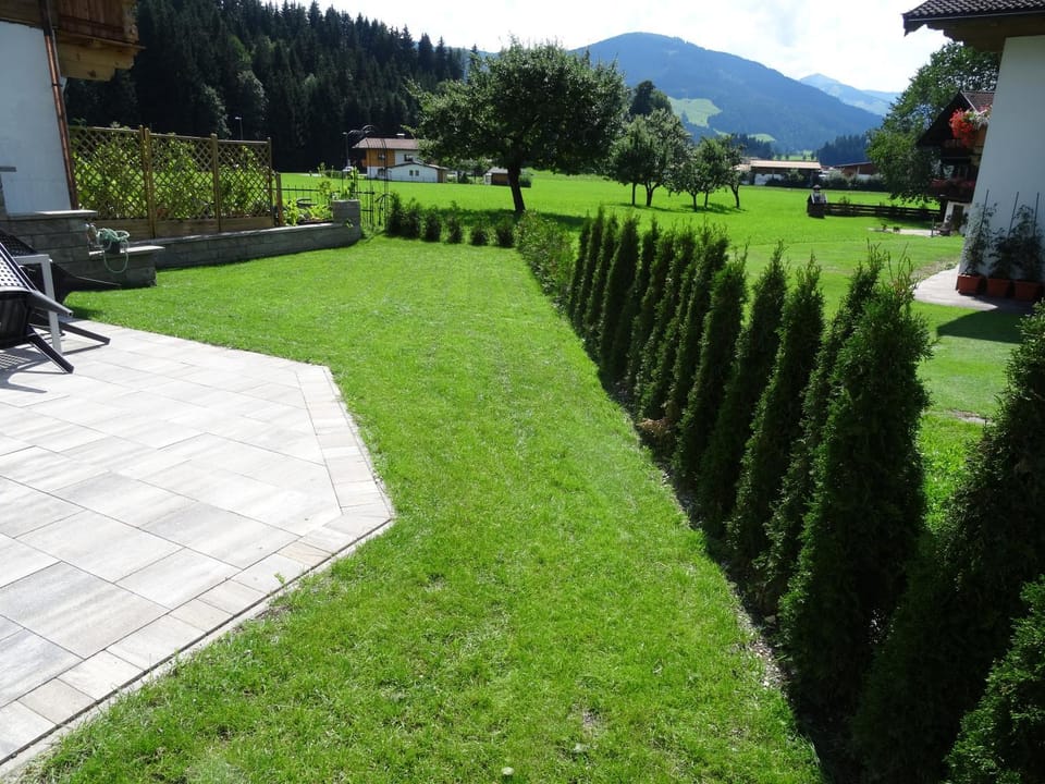 Natural landscape, Garden, Garden view, Mountain view