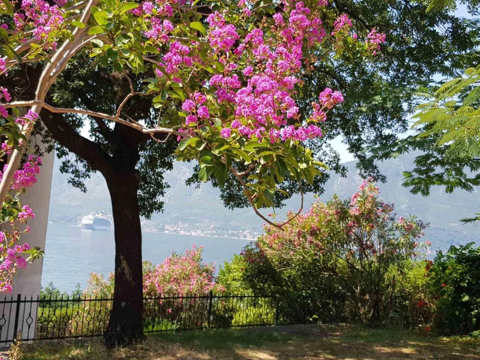 Natural landscape, Garden, Garden view, Sea view