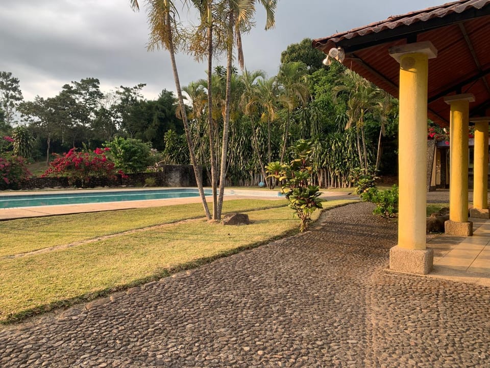 Pool view, Swimming pool