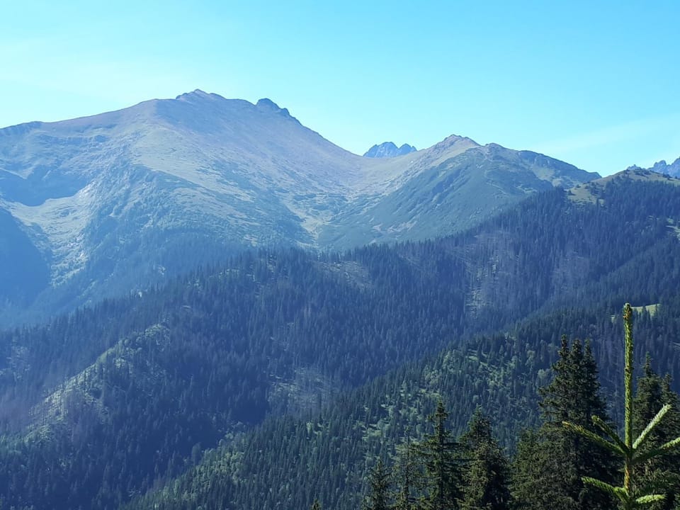 Natural landscape