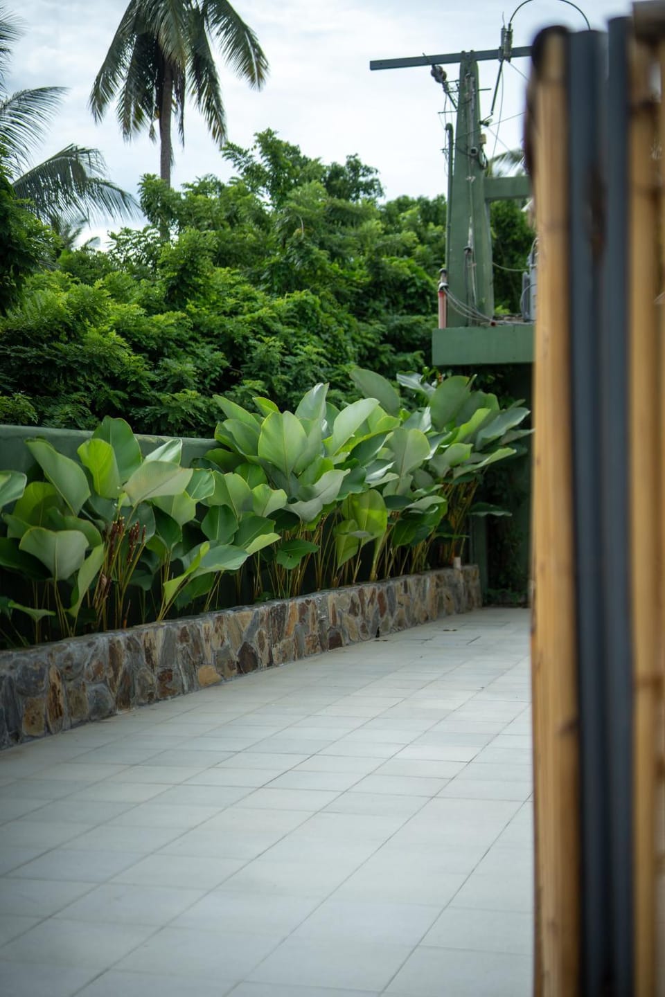 Garden view
