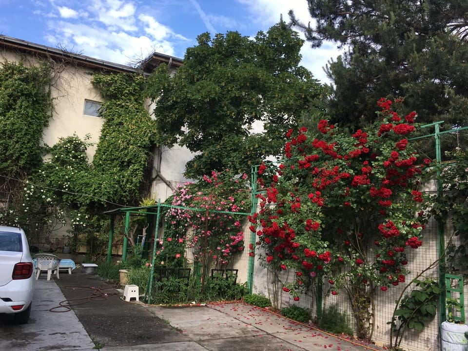Vila 2 Vacation rental in Bucharest