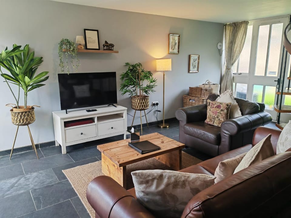 Communal lounge/ TV room, TV and multimedia