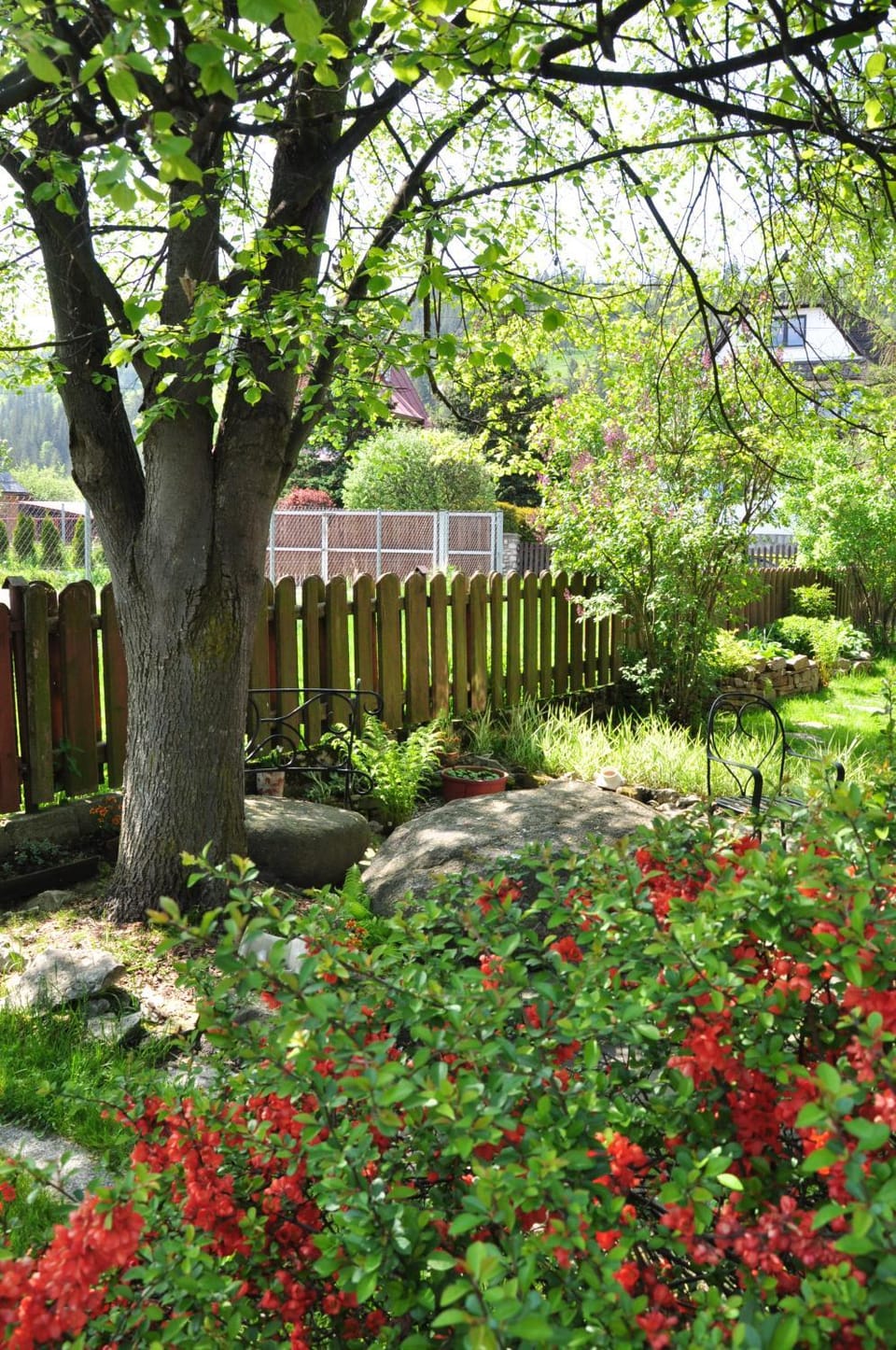 Skalny ogród Apartment in Zakopane