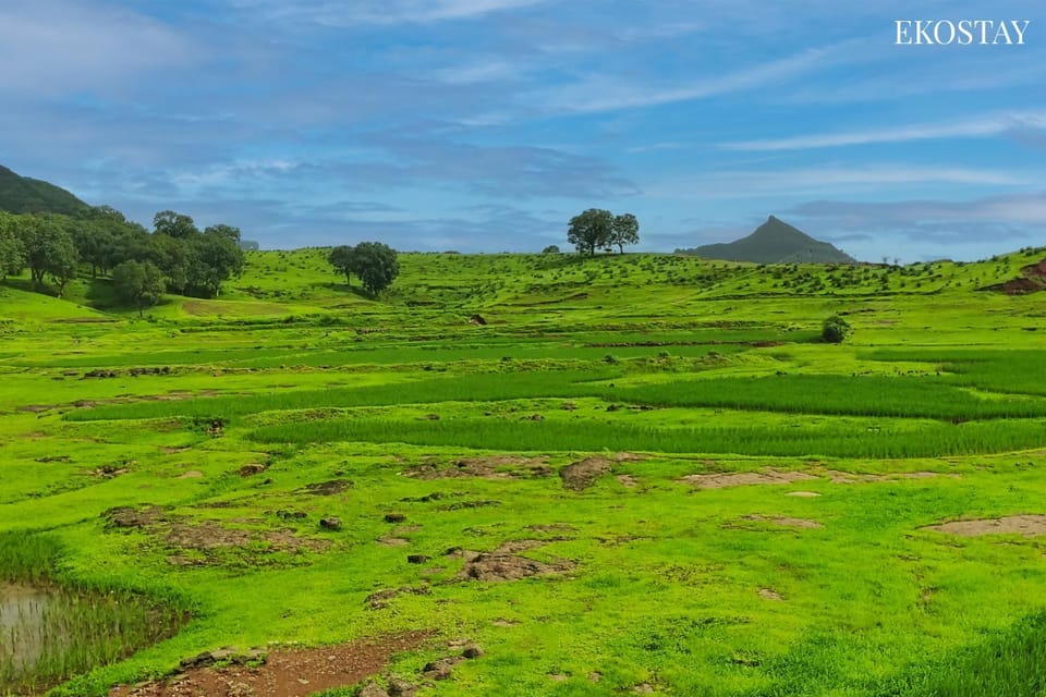 Nearby landmark, Spring, Day, Natural landscape, Mountain view, Mountain view