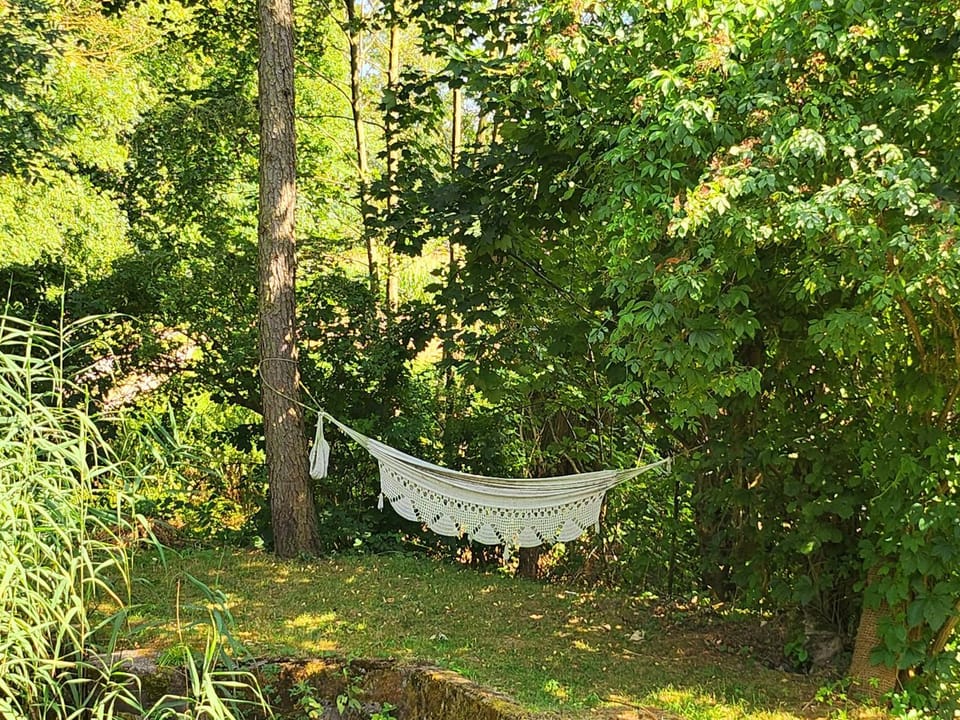 Natural landscape, Garden, Garden view