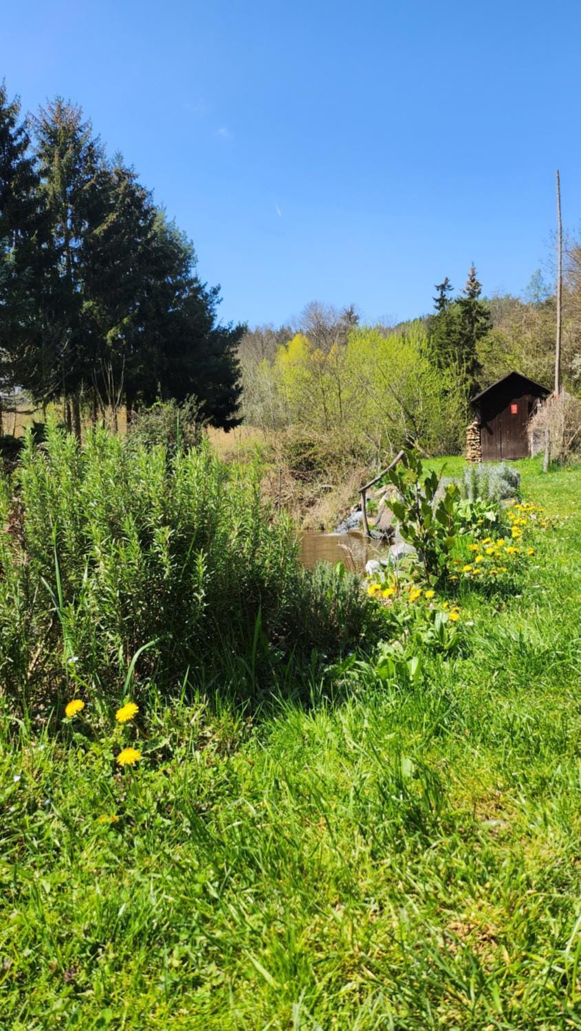 Natural landscape, Garden, Garden view