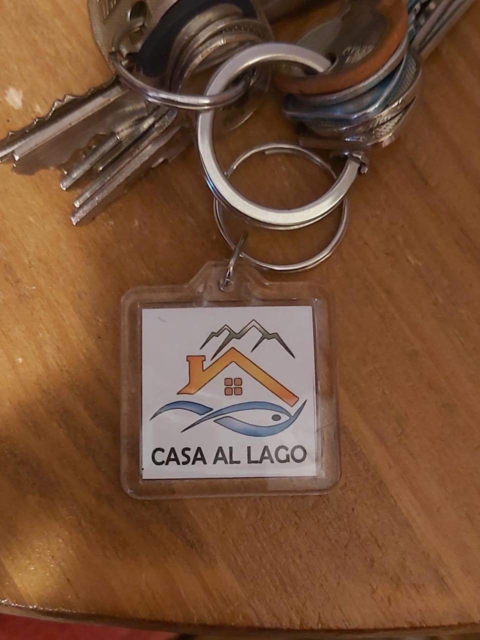 Logo/Certificate/Sign