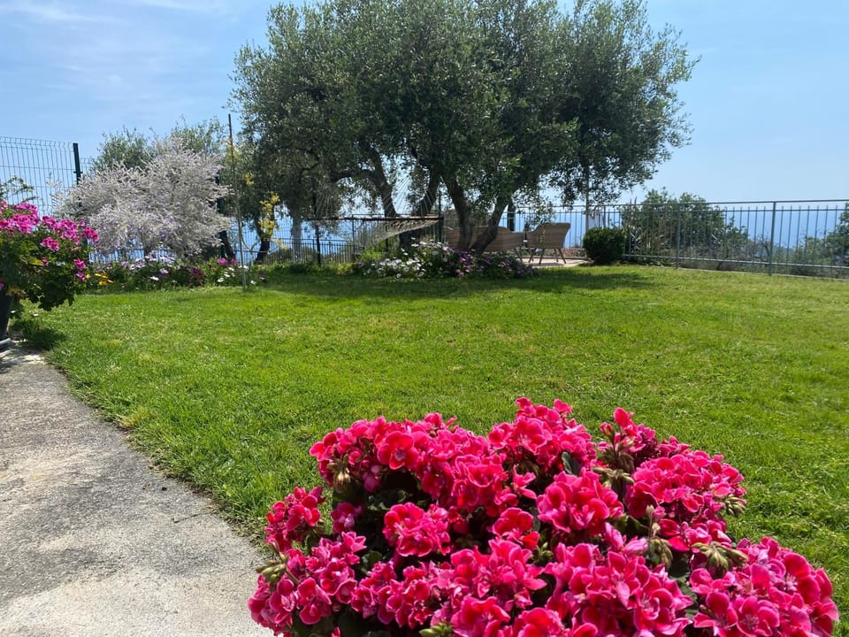 Garden, Sea view