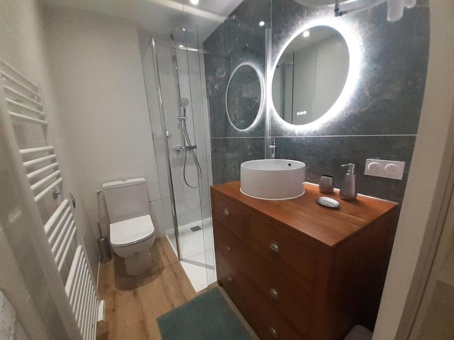 Classé 3 Etoiles IDEAL VIENNE Centre ville 20 min de LYON Apartment in Auvergne-Rhône-Alpes