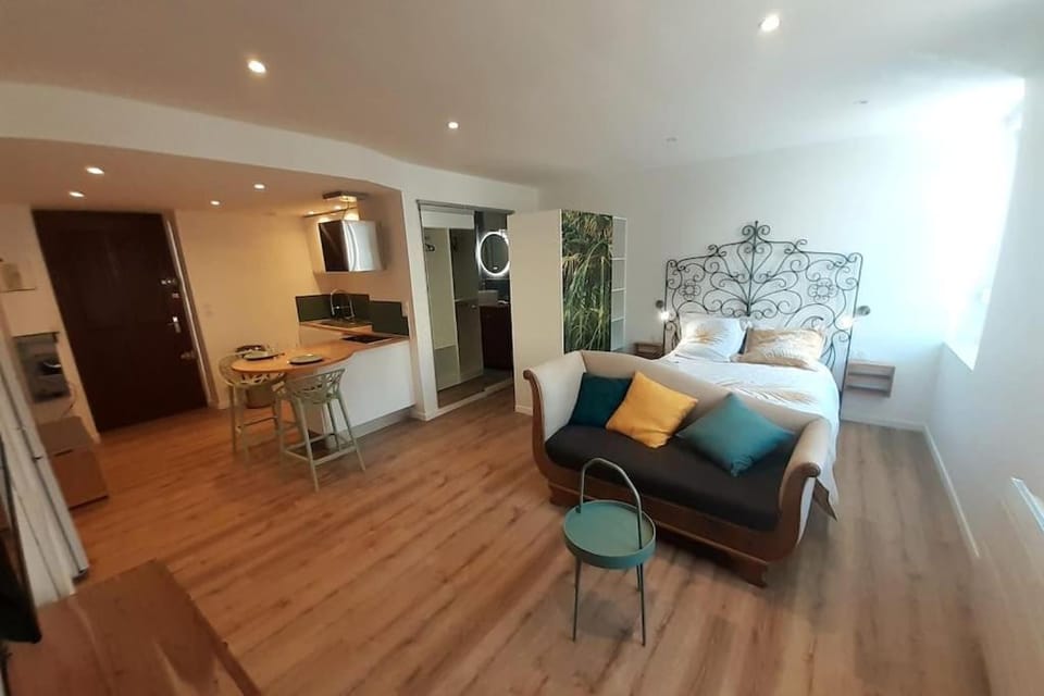 Classé 3 Etoiles IDEAL VIENNE Centre ville 20 min de LYON Apartment in Auvergne-Rhône-Alpes