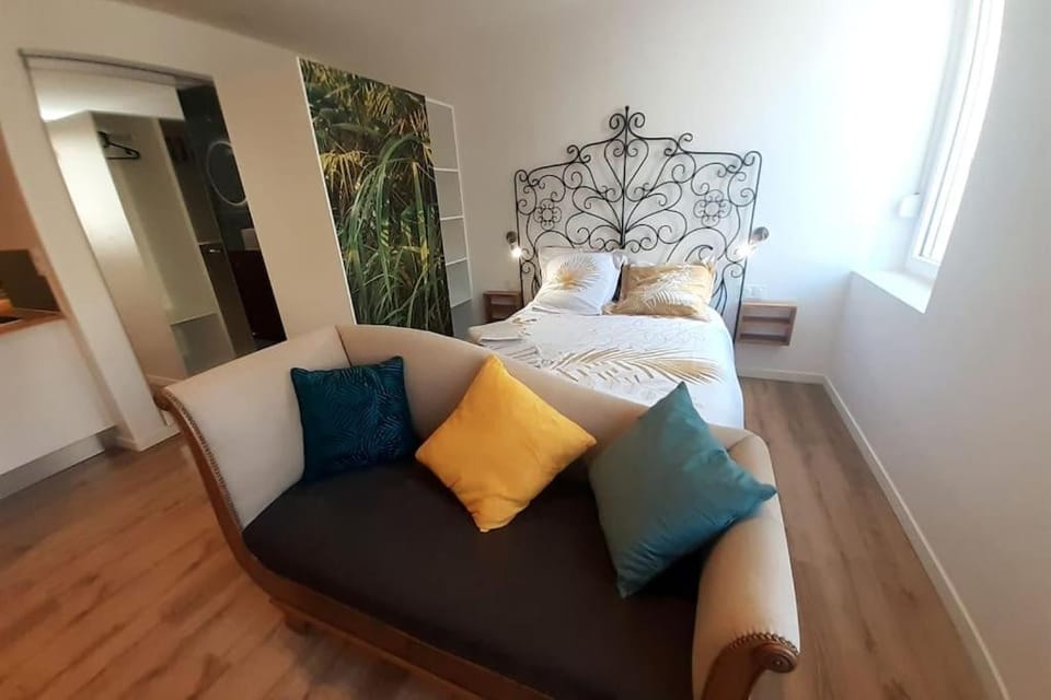 Classé 3 Etoiles IDEAL VIENNE Centre ville 20 min de LYON Apartment in Auvergne-Rhône-Alpes