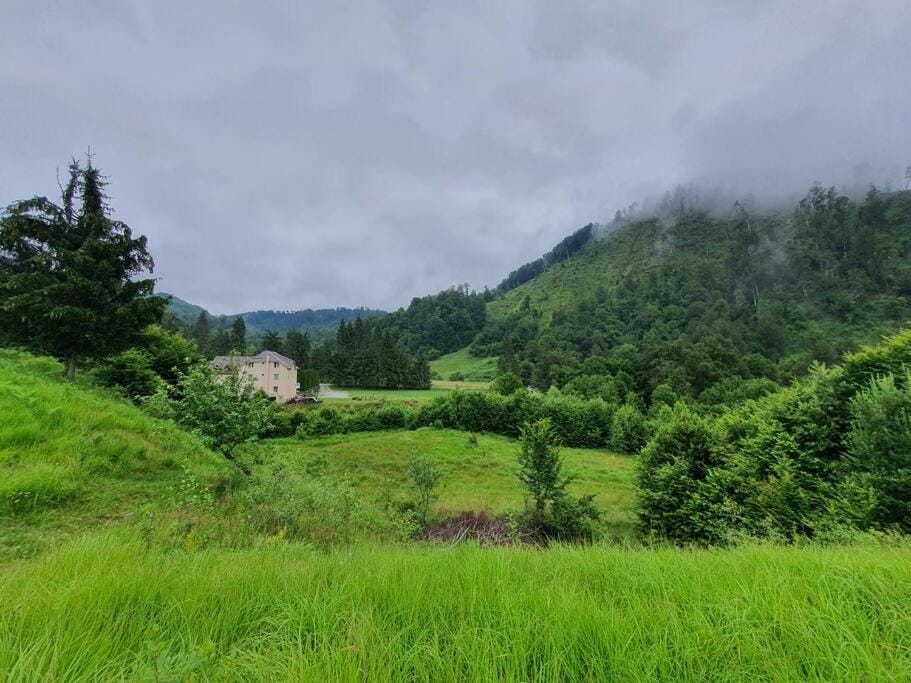 Natural landscape