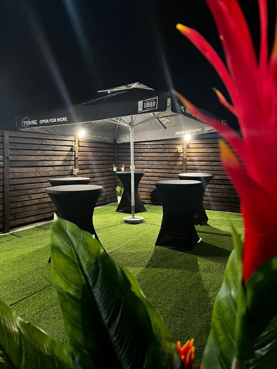 Night, Garden, Garden view