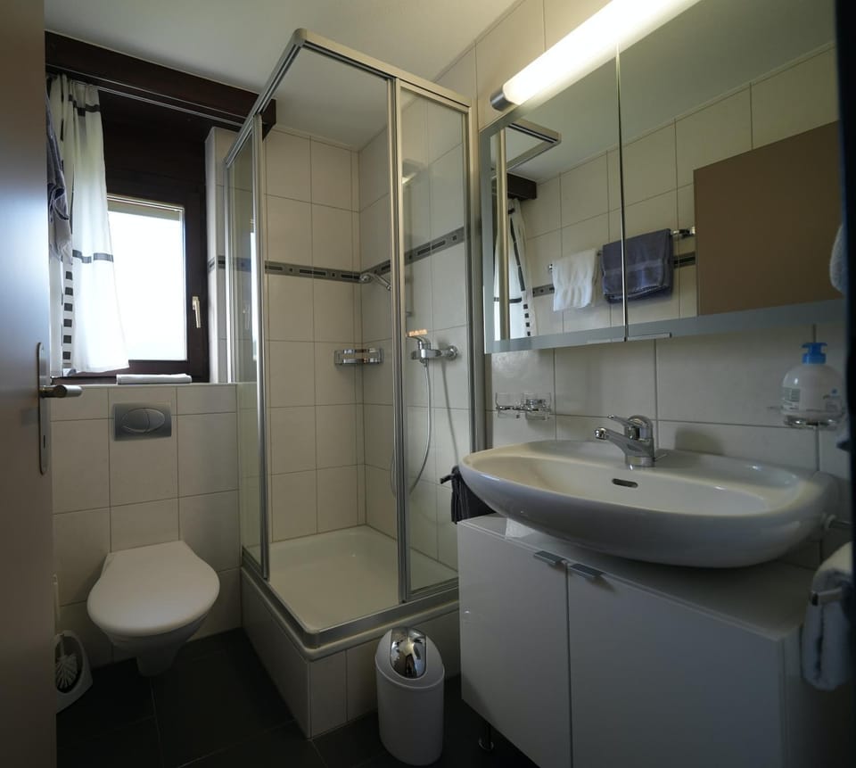 Shower, Toilet, Bathroom, towels