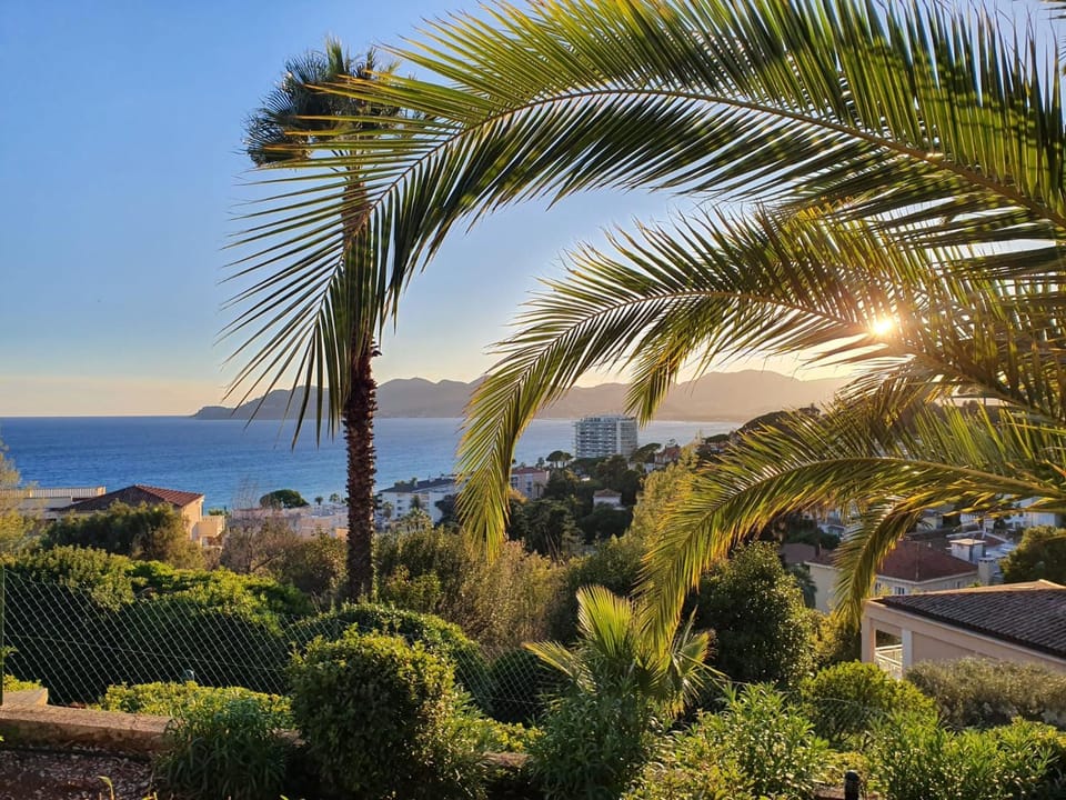 Superbe appartement une chambre vue mer piscine tennis Apartment in Cannes