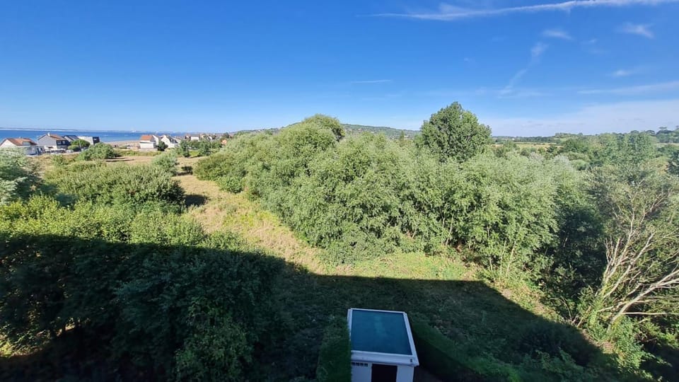 Patio, Natural landscape, Garden view