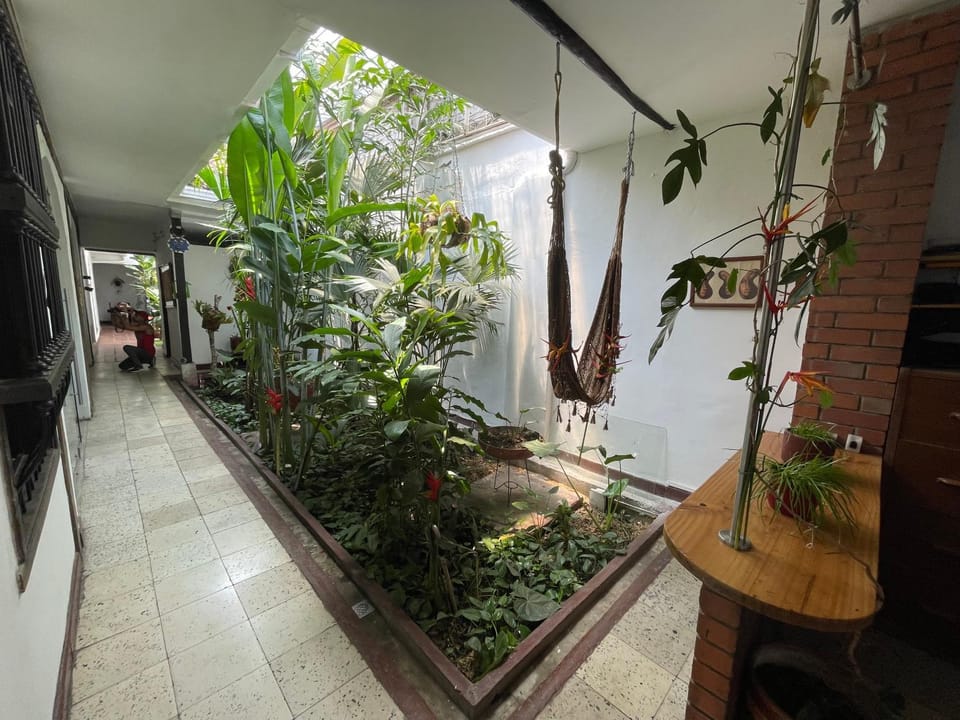 Garden view