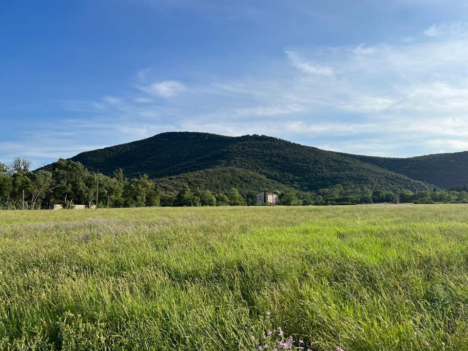 View (from property/room)