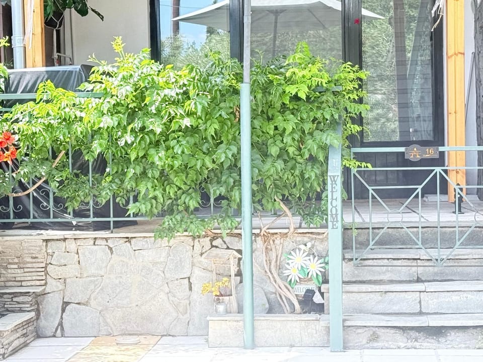 Athena House Apartment in Decentralized Administration of Macedonia and Thrace