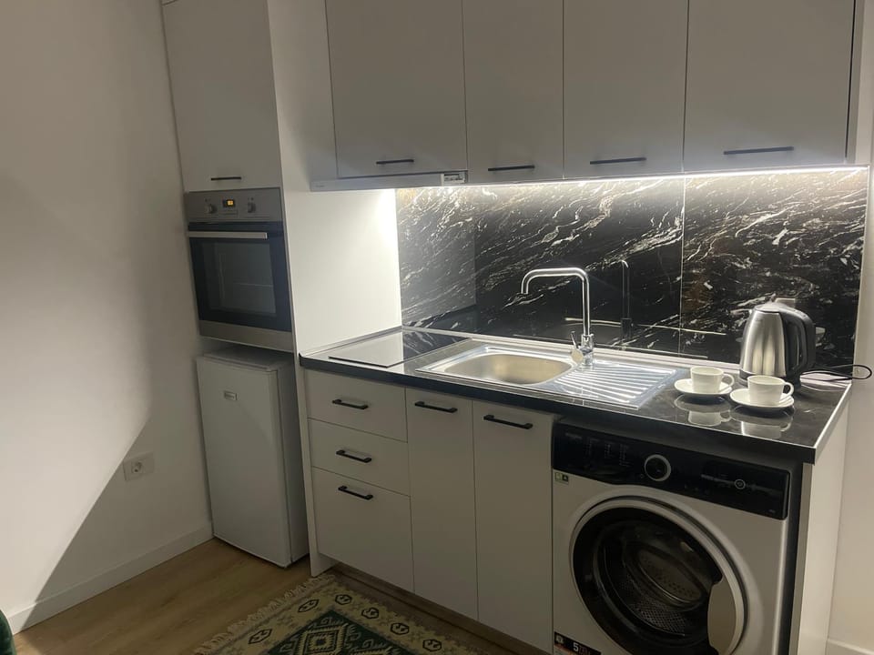 Kitchen or kitchenette, dishwasher