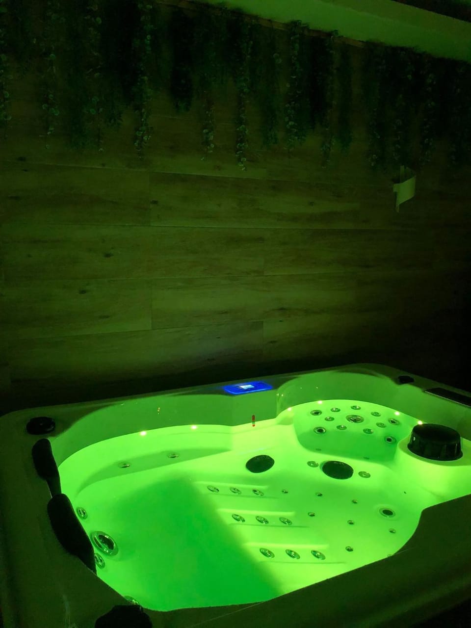 Spa and wellness centre/facilities
