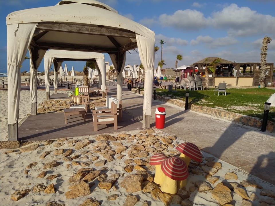 Patio, Restaurant/places to eat