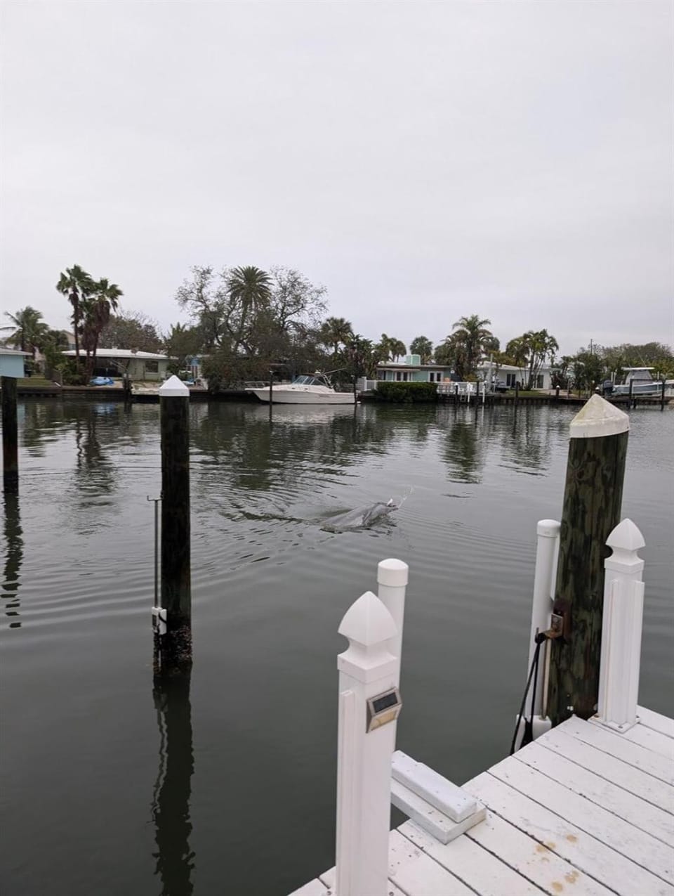 The Salty Cove IRB House in Indian Rocks Beach