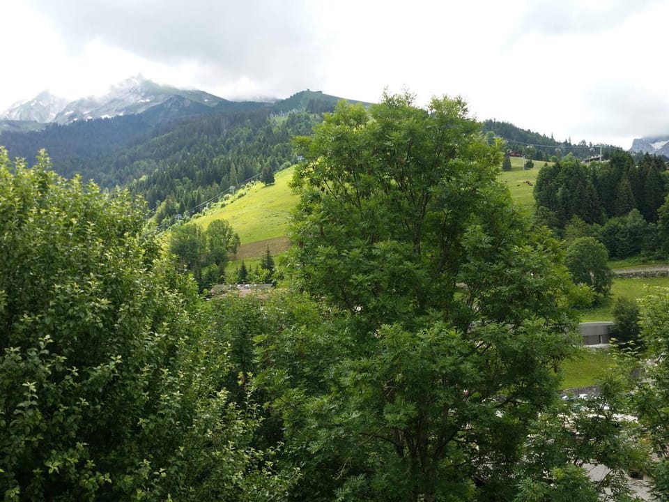 Charmant T2 avec balcon au cœur de La Clusaz, proche commerces et pistes - 4 pers. - FR-1-459-192 Apartment in La Clusaz