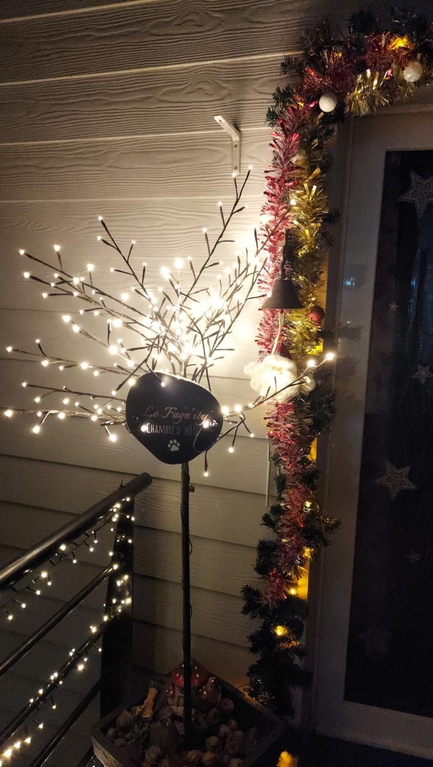 Facade/entrance, Night