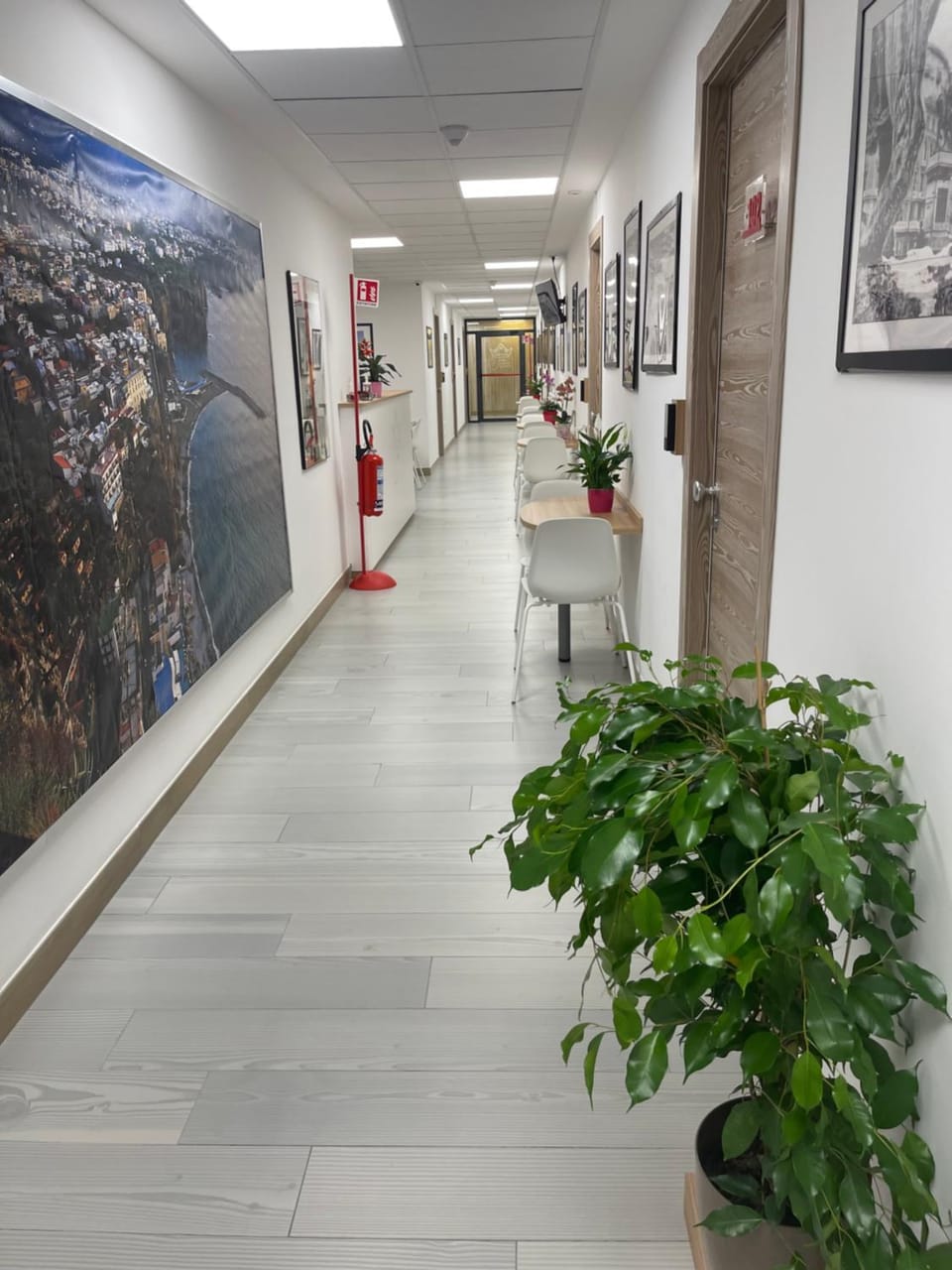 Inner courtyard view