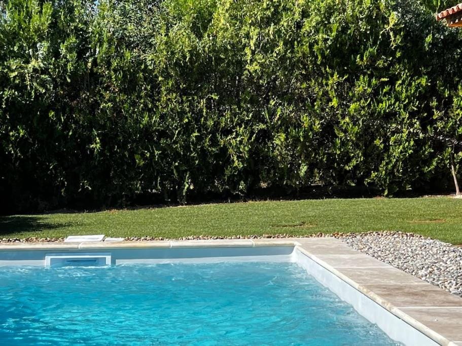 Garden, Pool view, Swimming pool