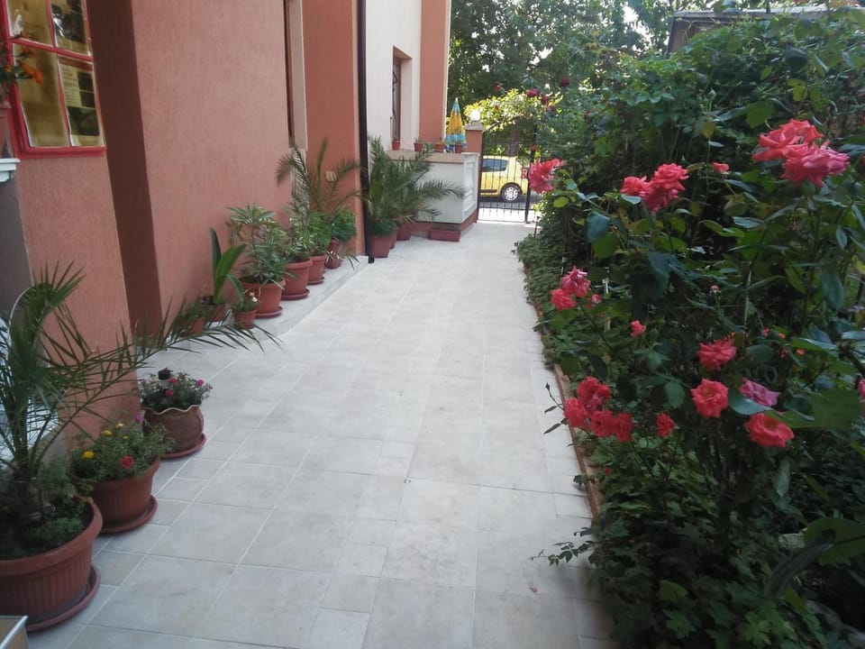 Garden, Internal: Not applicable to any particular room