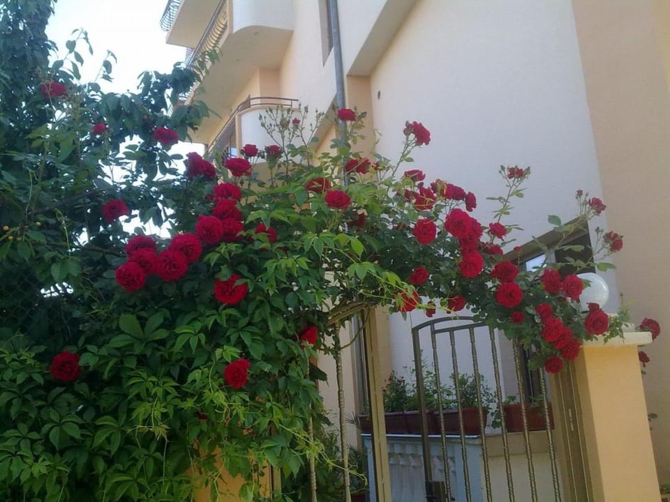 Garden, Internal: Not applicable to any particular room