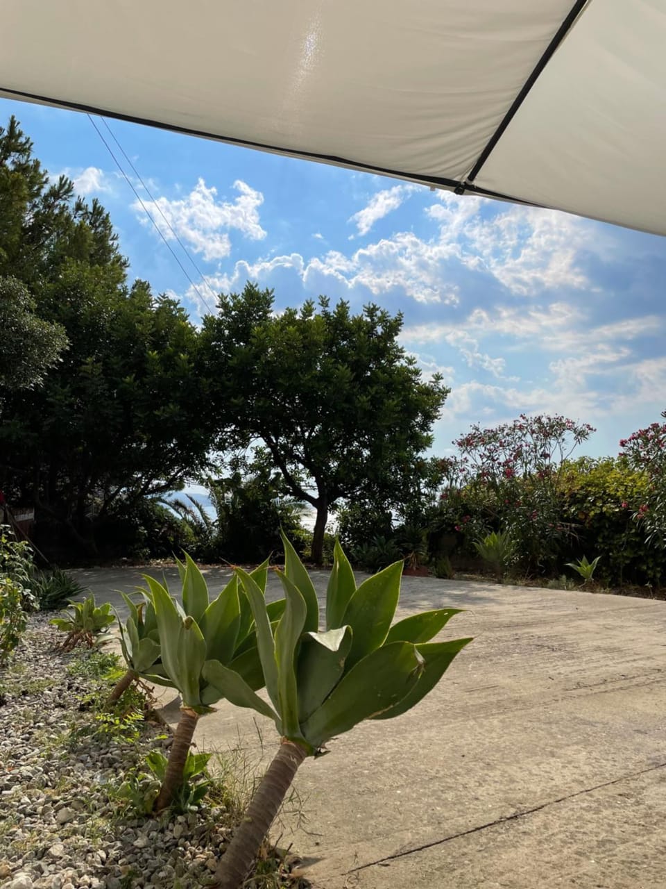 Spring, Day, Garden, Garden view