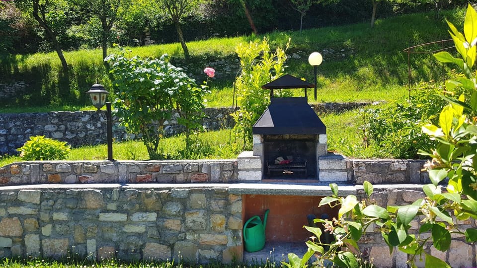 Patio, Garden, Garden view