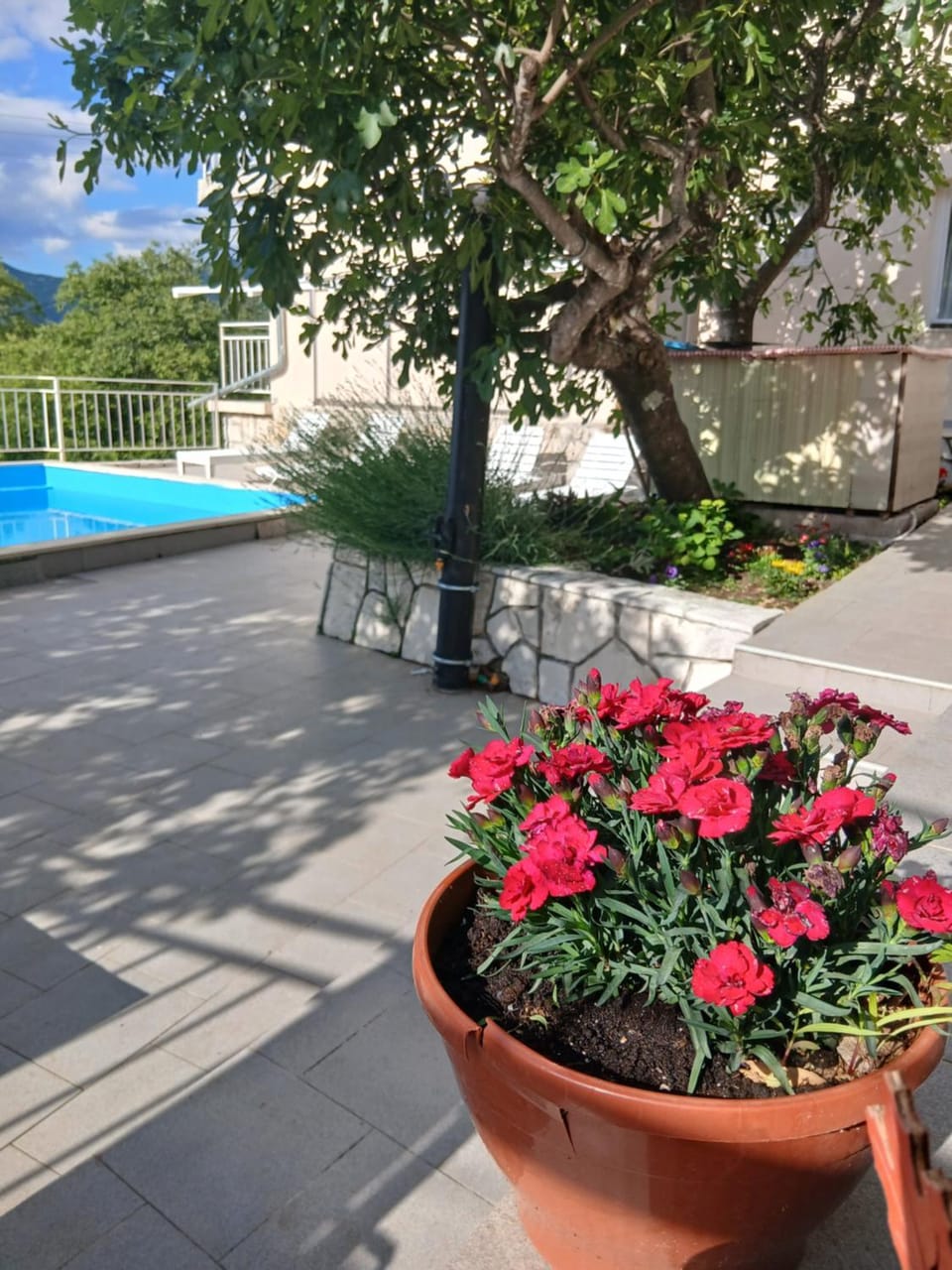 Villa Sonja apartments Apartment in Dubrovnik-Neretva County