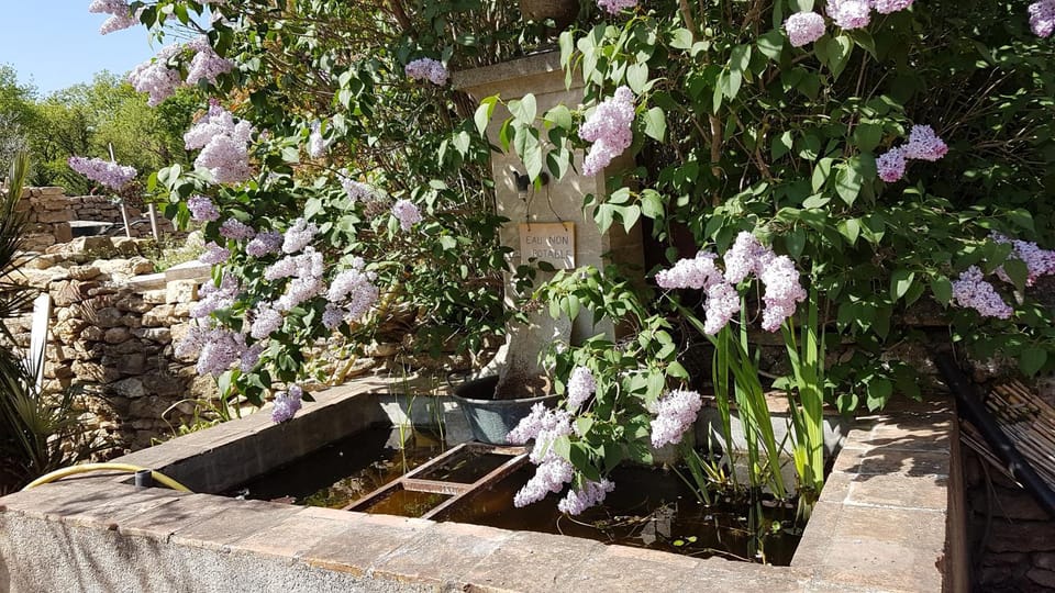 le moulin Bed and Breakfast in Bédoin