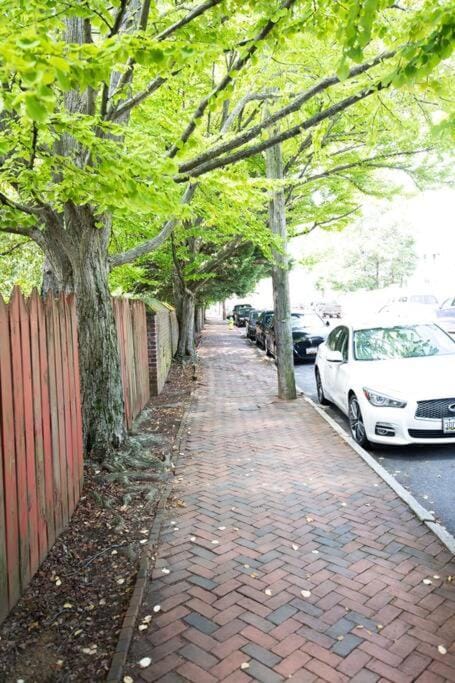 King George Downtown Annapolis Getaway Apartment in Annapolis