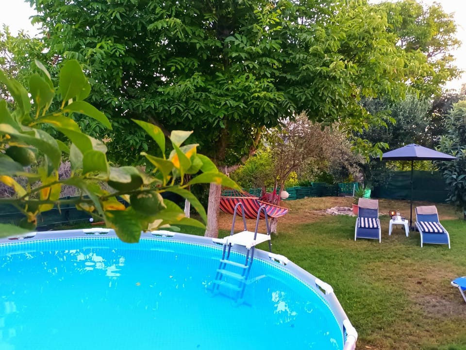 Day, Garden, Swimming pool, sunbed