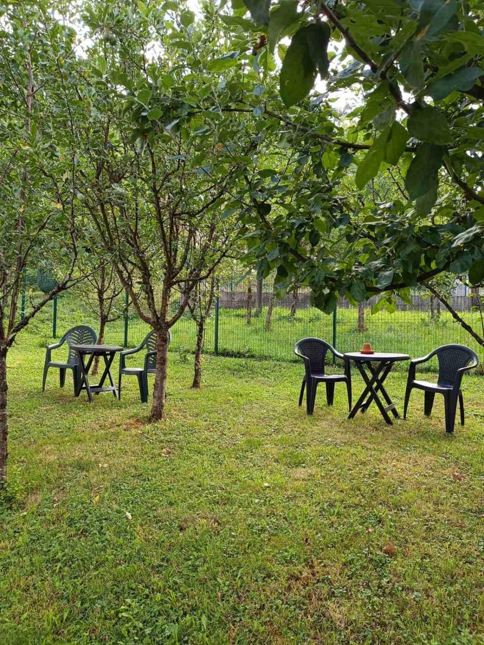 Day, Garden