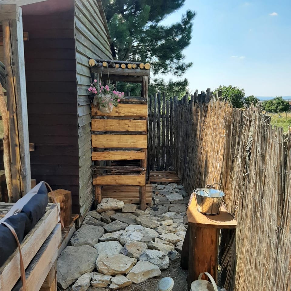 Shower, Toilet