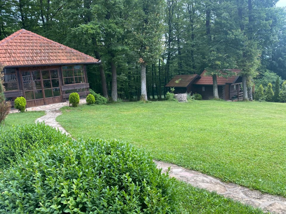 Day, Garden view