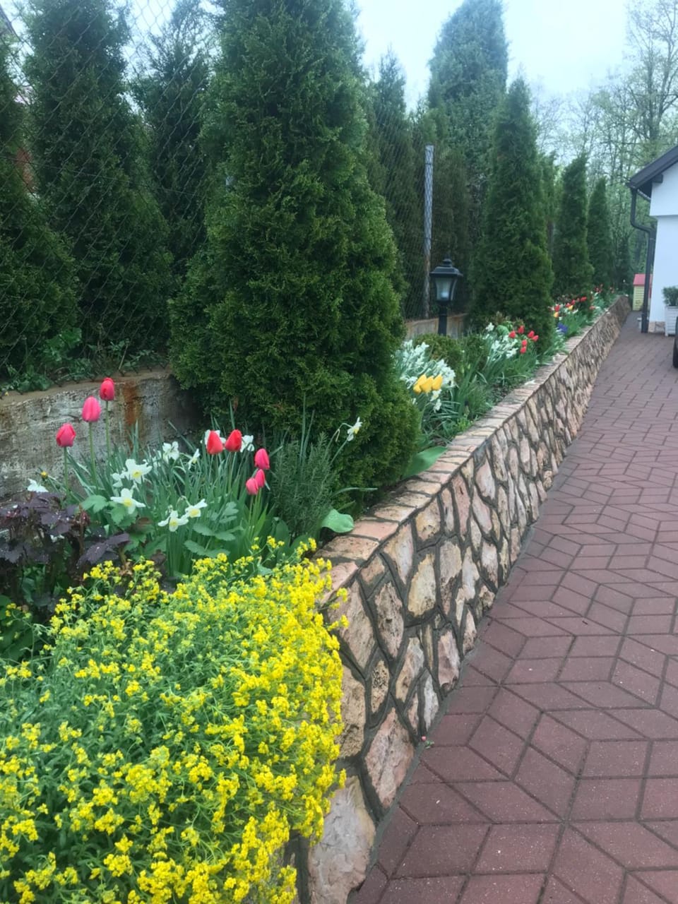 Day, Garden view
