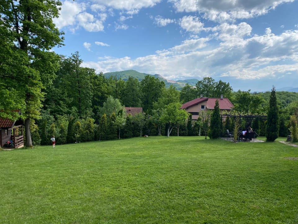 Day, Natural landscape, Garden view